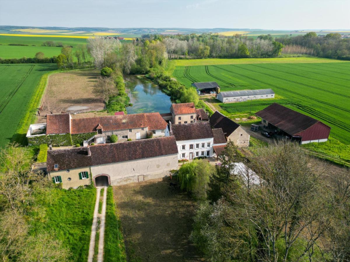 Brienon-sur-Armançon Le Moulin Neuf 빌라 외부 사진