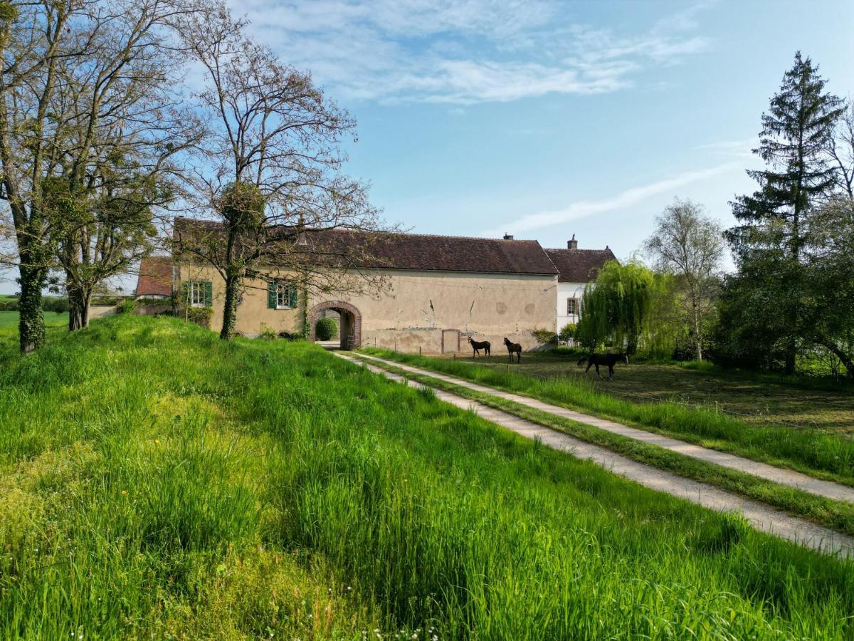 Brienon-sur-Armançon Le Moulin Neuf 빌라 외부 사진