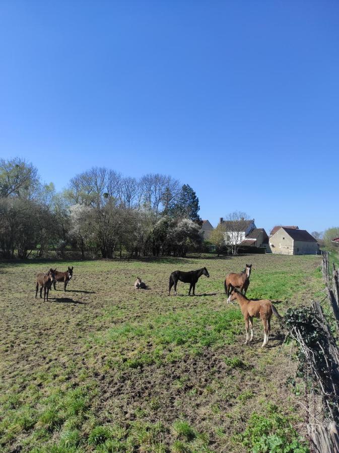 Brienon-sur-Armançon Le Moulin Neuf 빌라 외부 사진