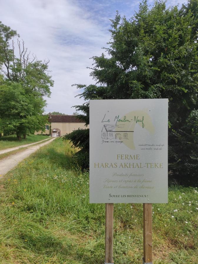 Brienon-sur-Armançon Le Moulin Neuf 빌라 외부 사진