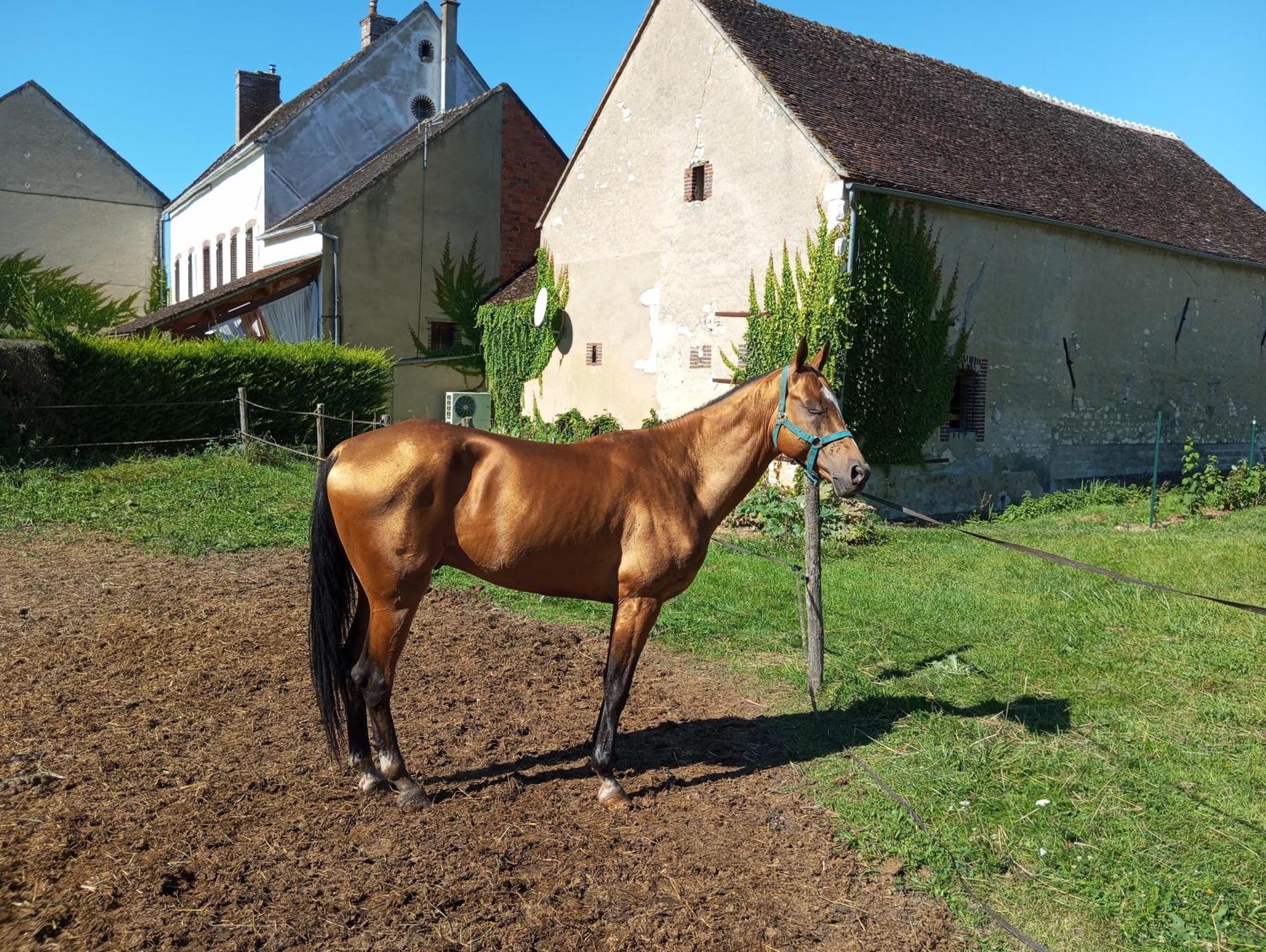 Brienon-sur-Armançon Le Moulin Neuf 빌라 외부 사진